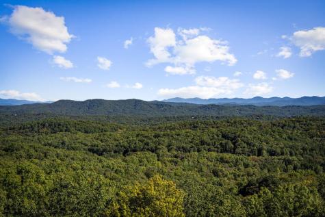 275 Rising Star Lane Mineral Bluff GA 30559