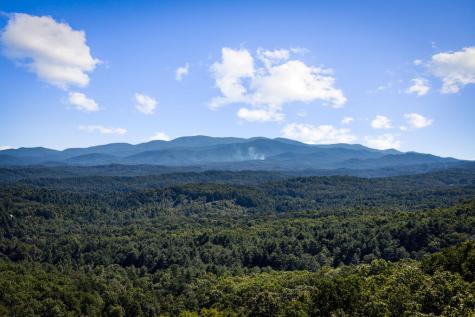 275 Rising Star Lane Mineral Bluff GA 30559