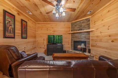275 Rising Star Lane Mineral Bluff GA 30559