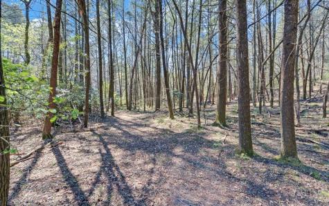 380 Bear Foot Drive Blue Ridge GA 30513