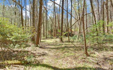 380 Bear Foot Drive Blue Ridge GA 30513