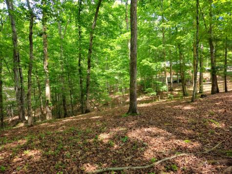 211 Winding Brook Trail Morganton GA 30560