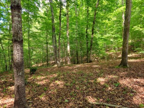211 Winding Brook Trail Morganton GA 30560