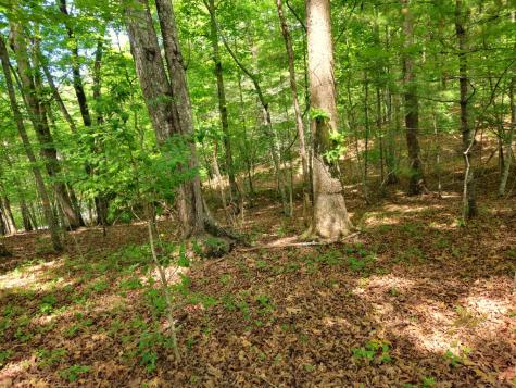 211 Winding Brook Trail Morganton GA 30560