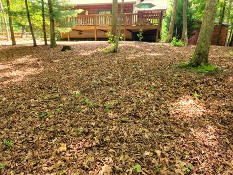 211 Winding Brook Trail Morganton GA 30560