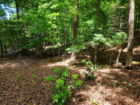 211 Winding Brook Trail Morganton GA 30560