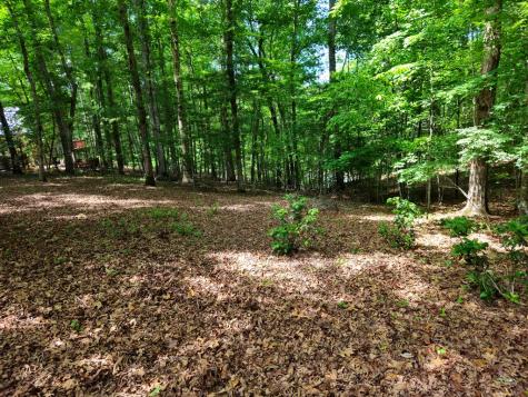 211 Winding Brook Trail Morganton GA 30560