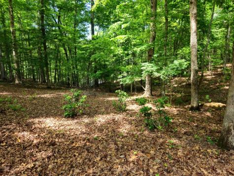 211 Winding Brook Trail Morganton GA 30560
