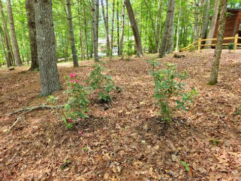 211 Winding Brook Trail Morganton GA 30560