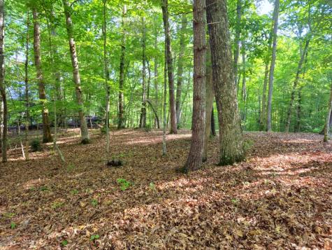 211 Winding Brook Trail Morganton GA 30560