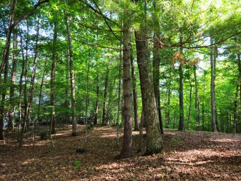 211 Winding Brook Trail Morganton GA 30560