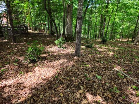 211 Winding Brook Trail Morganton GA 30560