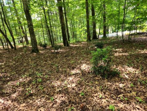 211 Winding Brook Trail Morganton GA 30560