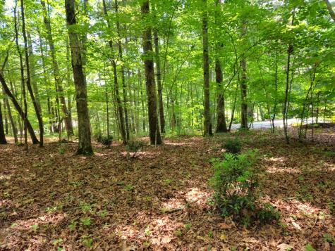 211 Winding Brook Trail Morganton GA 30560