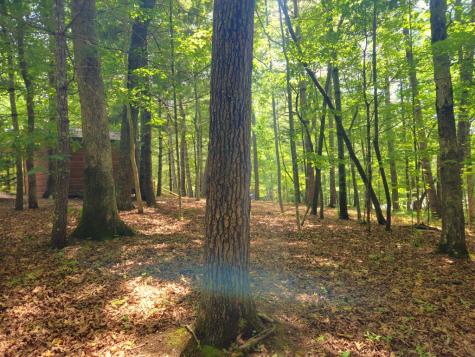 211 Winding Brook Trail Morganton GA 30560
