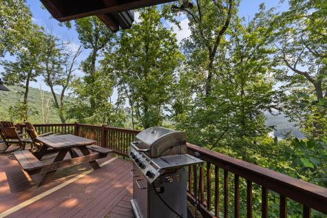 15 Paloma Drive Blue Ridge GA 30513