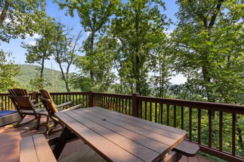 15 Paloma Drive Blue Ridge GA 30513