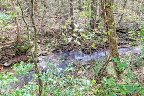 1064 Muskrat Creek Road Hayesville NC 28904