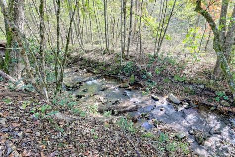 1064 Muskrat Creek Road Hayesville NC 28904