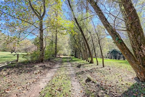 1064 Muskrat Creek Road Hayesville NC 28904