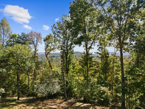 36 Deep Cove Road Blue Ridge GA 30513