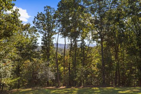 36 Deep Cove Road Blue Ridge GA 30513