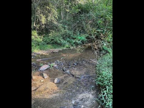52 Hickory Ridge Drive Ellijay GA 30536