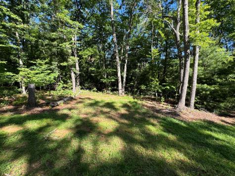 3058 River Road Mineral Bluff GA 30559