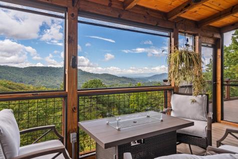 2602 The Ridges Hiawassee GA 30546