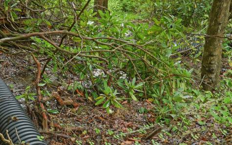 5557 Joe Brown Highway Murphy NC 28906