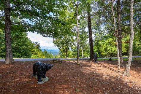 635 Brasstown View Road Murphy NC 28906
