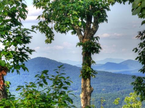 224 Eagle Ridge Morganton GA 30560