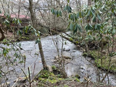 67 Laughing Waters Lane Hayesville NC 28904