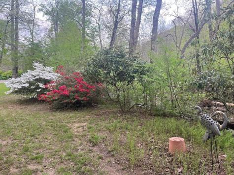 67 Laughing Waters Lane Hayesville NC 28904