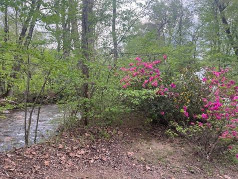 67 Laughing Waters Lane Hayesville NC 28904