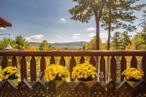 330 Pony Ghost Trail Blue Ridge GA 30513