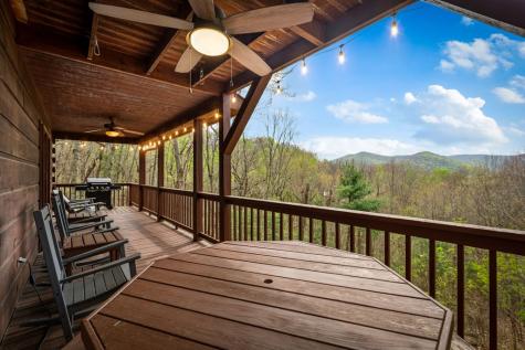 890 Brittney Drive Blue Ridge GA 30513