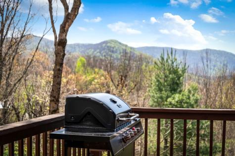 890 Brittney Drive Blue Ridge GA 30513