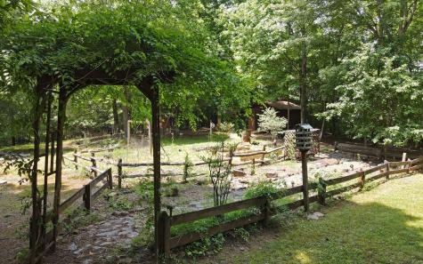 195 Long Drive Blairsville GA 30512