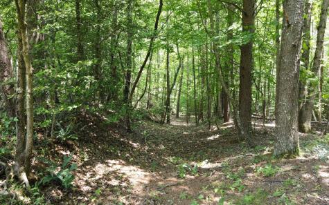 195 Long Drive Blairsville GA 30512