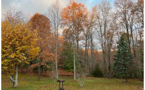 195 Long Drive Blairsville GA 30512