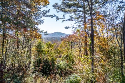 2561 Rustic Ridge Trail Young Harris GA 30582
