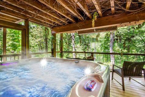 303 Clarice Lane Sautee Nacoochee GA 30571
