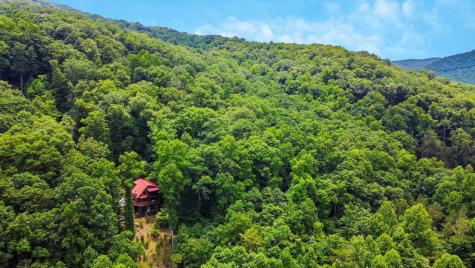 90 Picklesimer Mountain Trail Morganton GA 30560
