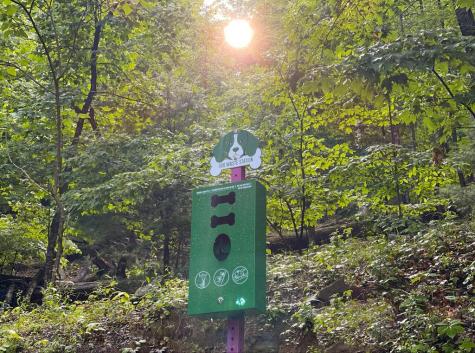 90 Picklesimer Mountain Trail Morganton GA 30560