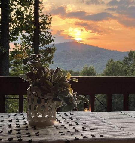 90 Picklesimer Mountain Trail Morganton GA 30560
