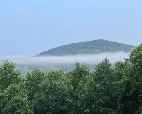 90 Picklesimer Mountain Trail Morganton GA 30560