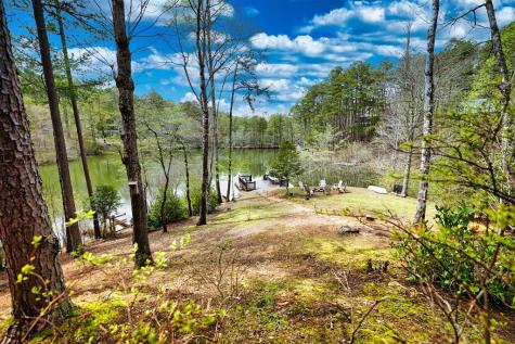 276 My Mountain Road Morganton GA 30560