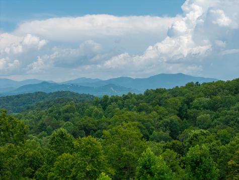 82 Jay Bird Way Hayesville NC 28904