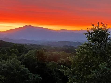 82 Jay Bird Way Hayesville NC 28904